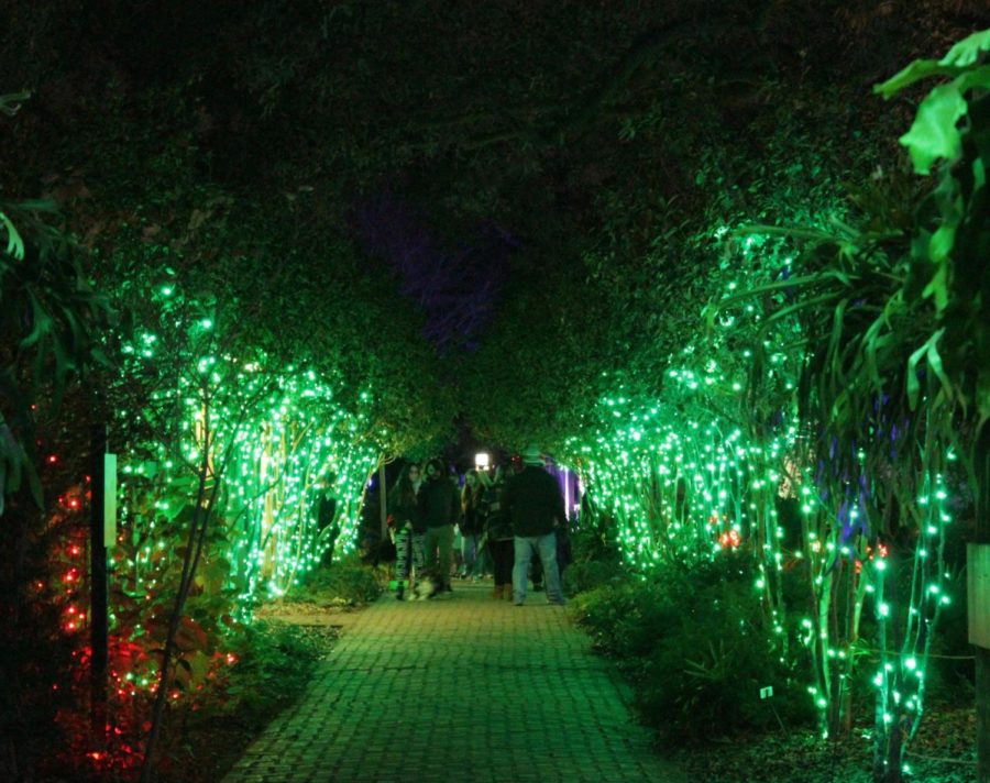lights.jpg